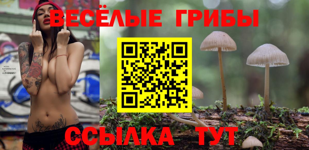 Малгобек  Cocaine  НБОМе  Мефедрон   Вход с VPN  Лсд 25  Экстази  Бошки Шишки  ГАШИШ 